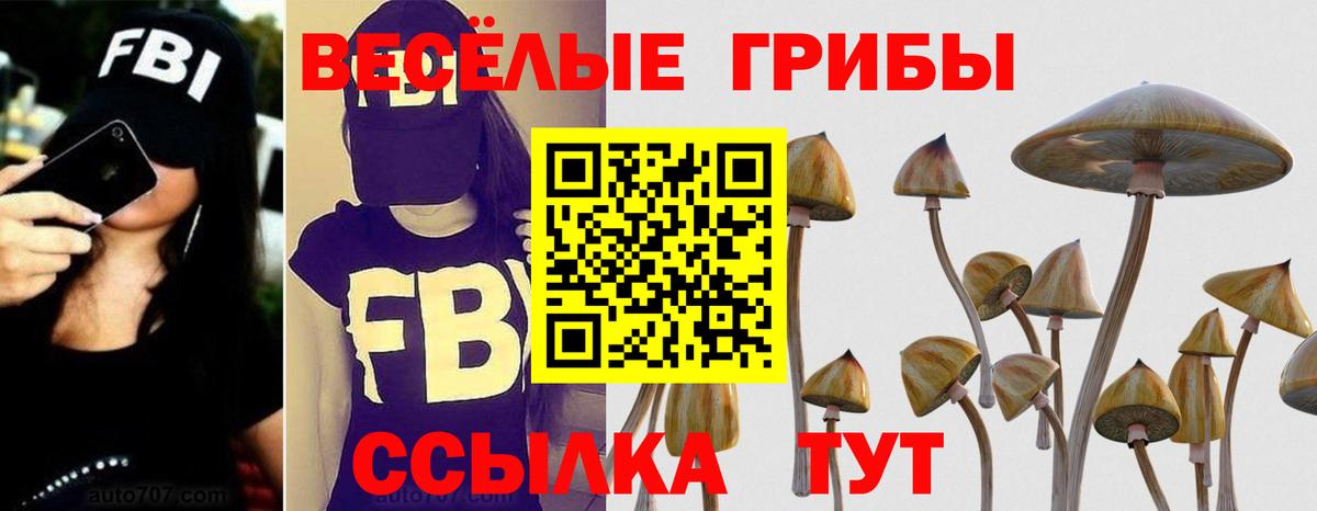 Галлюциногенные грибы прущие грибы Дальнереченск